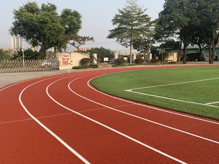 Spor Kompleksi